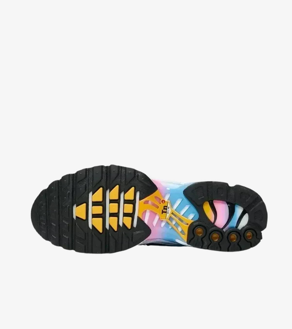 Nike Air Max Plus Summer Gradient