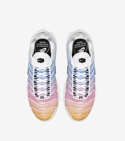 Nike Air Max Plus Summer Gradient