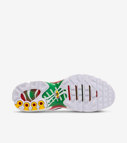 Nike Air Max Plus Italy