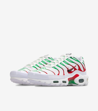 Nike Air Max Plus Italy